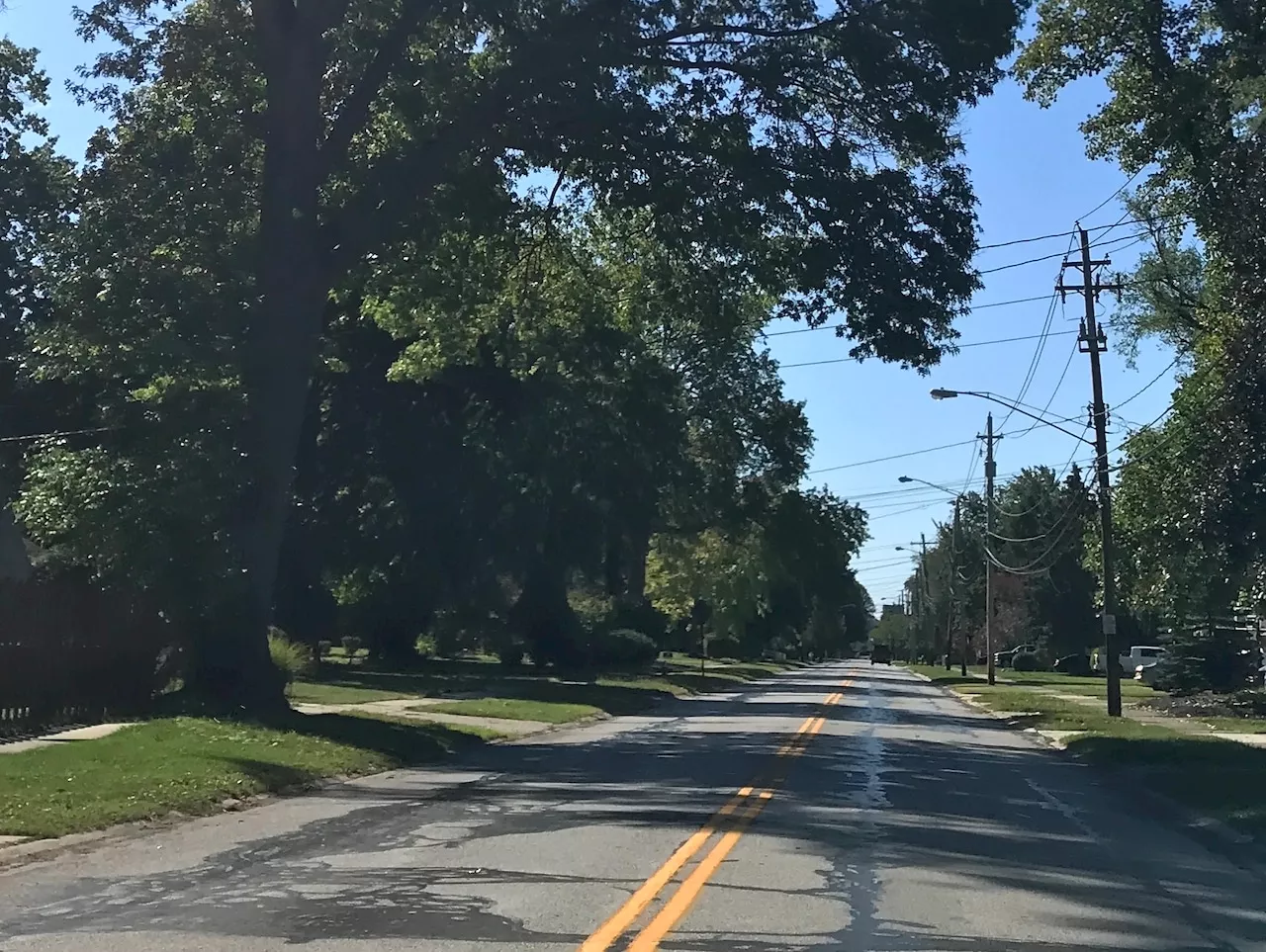 Slippery when wet: Fairview Park reminds folks about leaf collection policy