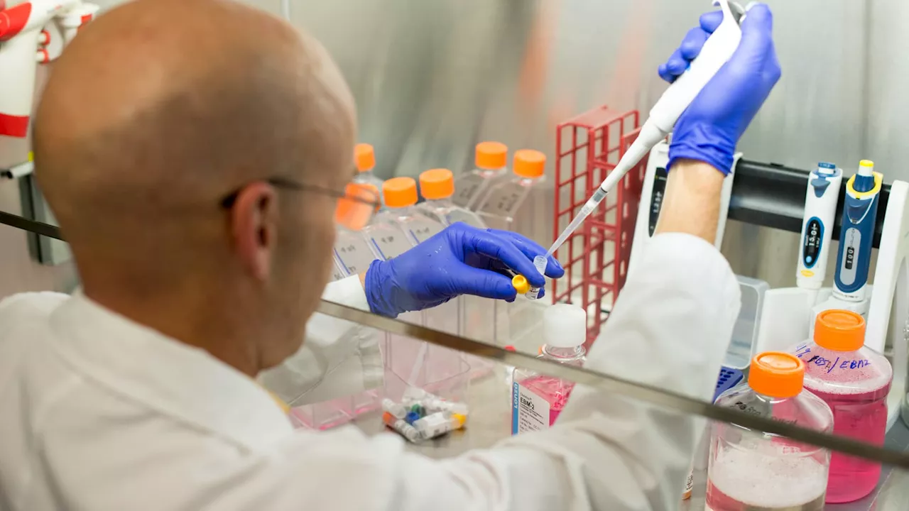 Recursion gets FDA approval to begin phase 1 trials of AI-discovered cancer treatment