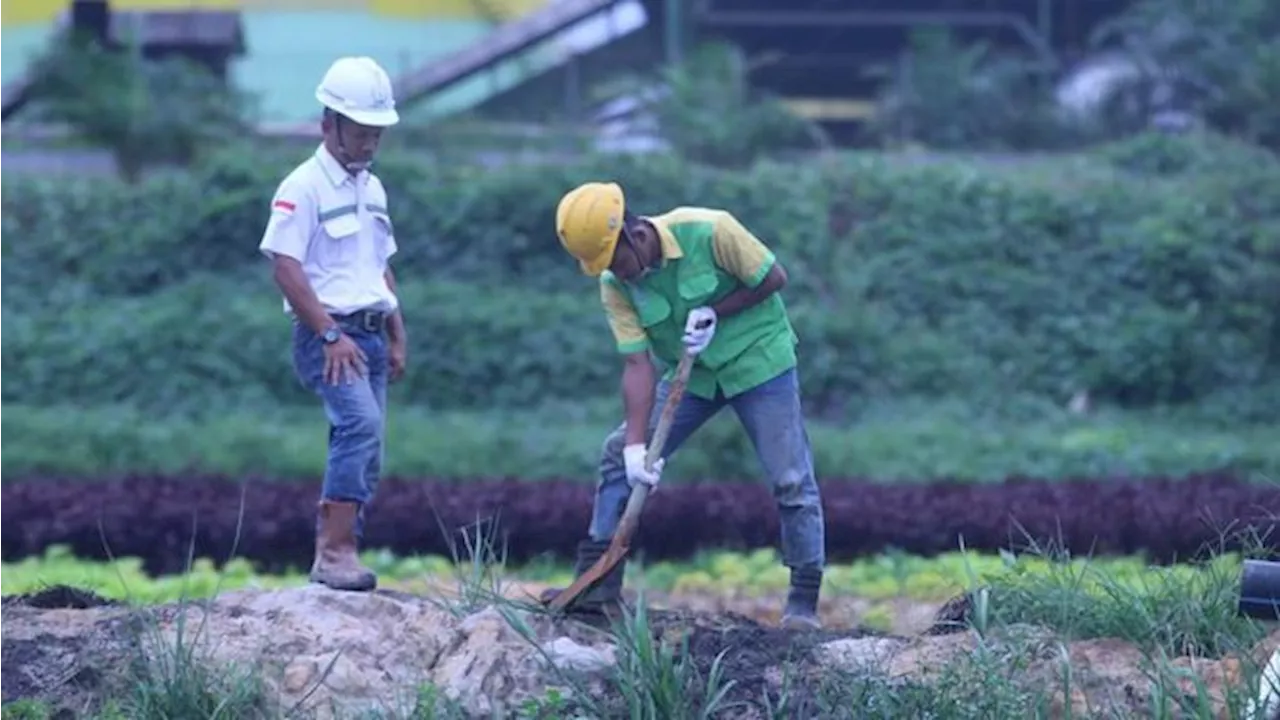 MKTR dan MGRO Kolaborasi Tingkatkan Kemitraan Sustainability di Industri Kelapa Sawit