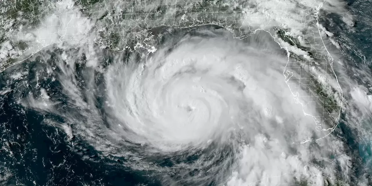 Don't Call This Storm Ida: It Should Have Been Called 'Hurricane Exxon'