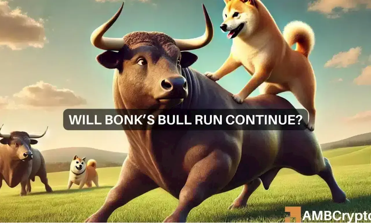 BONK’s price surges: Signs of a strong rally ahead?