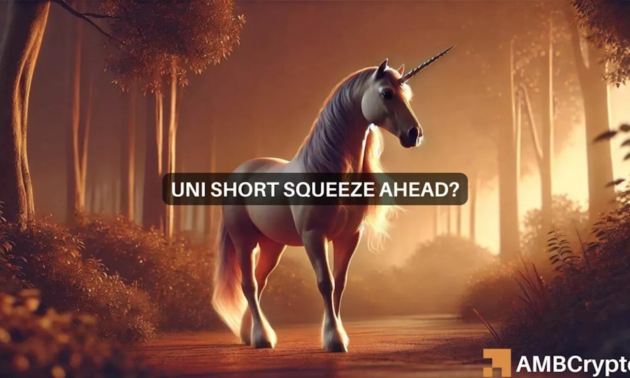 Uniswap: Mixed signals emerge as UNI holds steady at $7