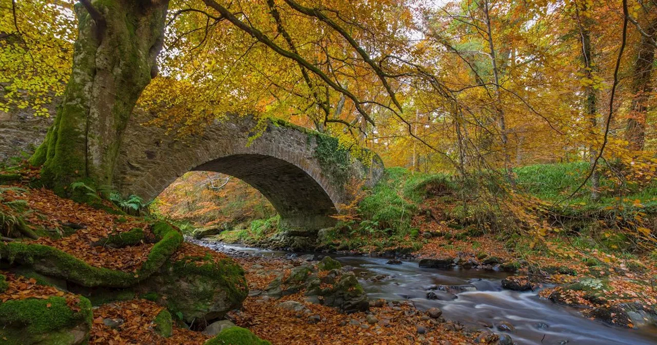 The friendly Scottish town with 'lovely' chippy named 'best to visit in autumn'