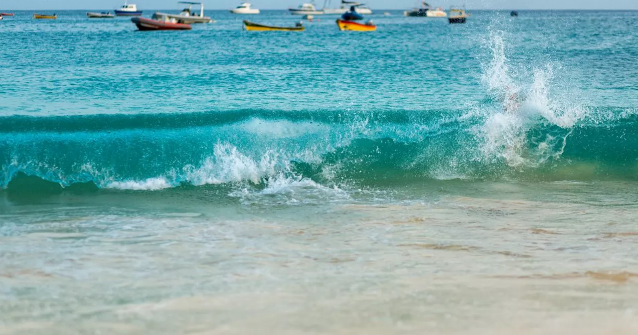 Waves crashing on a beach and birds chirping 'ideal antidotes to modern stress'