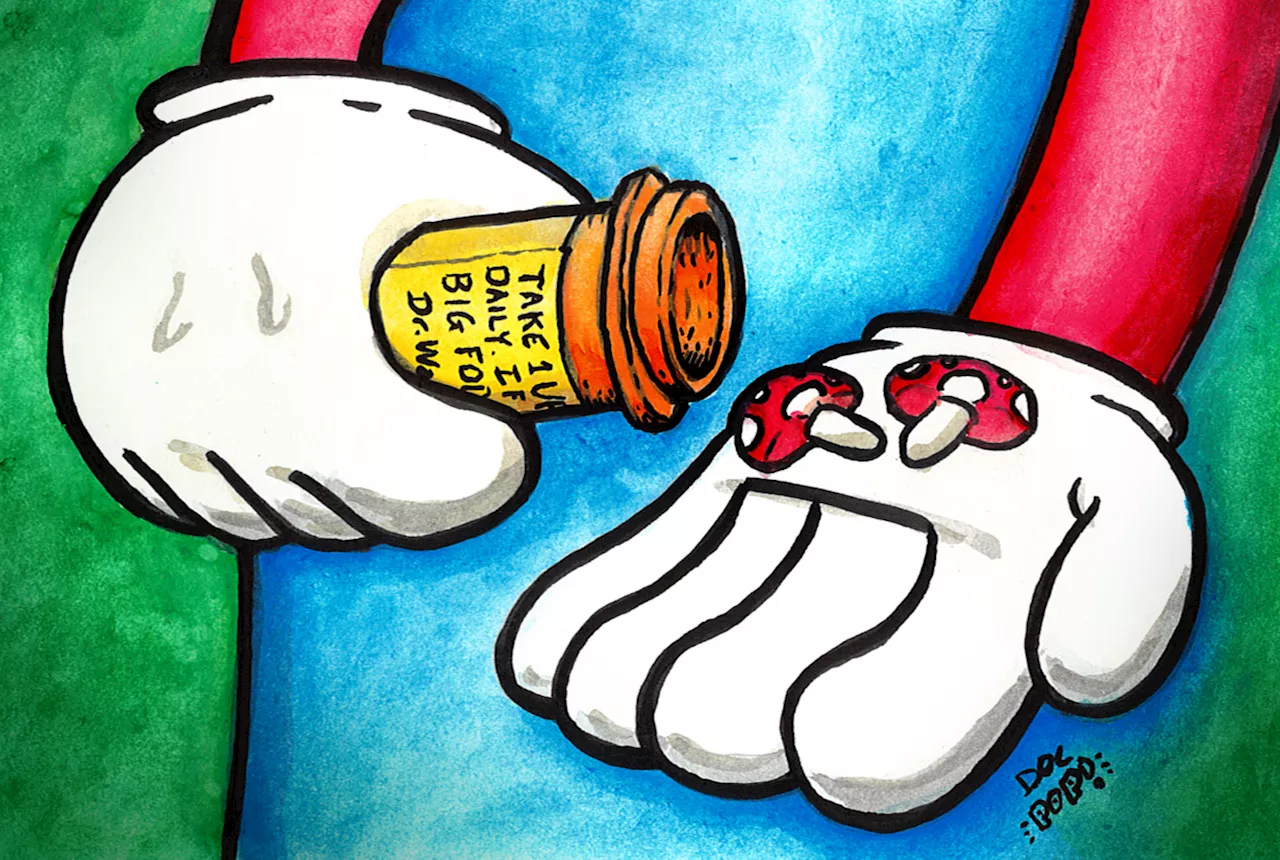 Is Making Psilocybin Mushroom Capsules at Home Difficult?