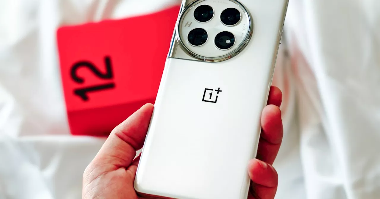 A pair of OnePlus 13 specs have leaked, and they sound impressive