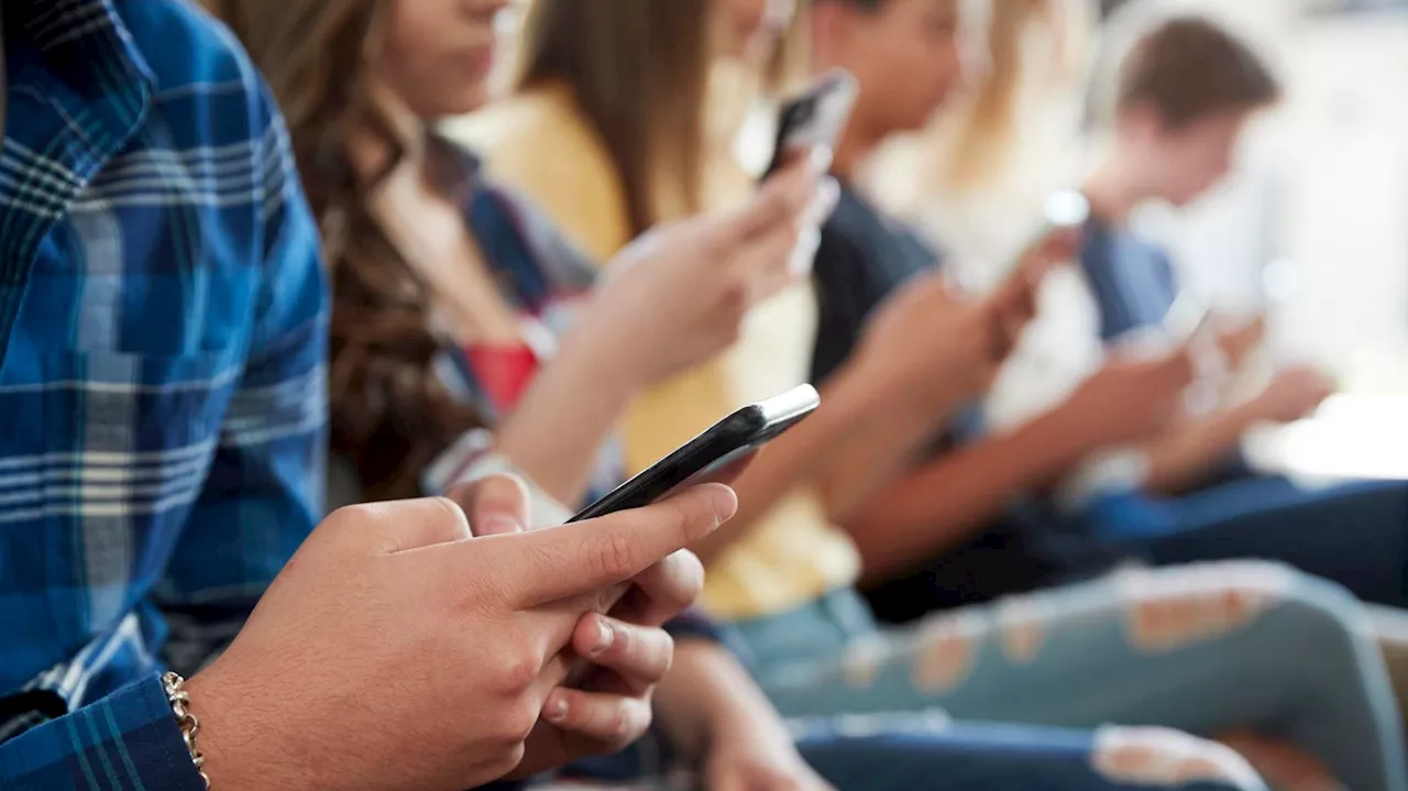 Short Phone Breaks During Class Could Help Students Score Higher Grades, Study Suggests