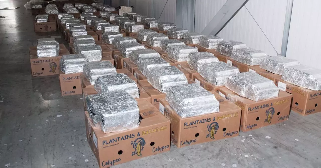 Moment officers uncover £76m of cocaine in banana boxes bound for Glasgow