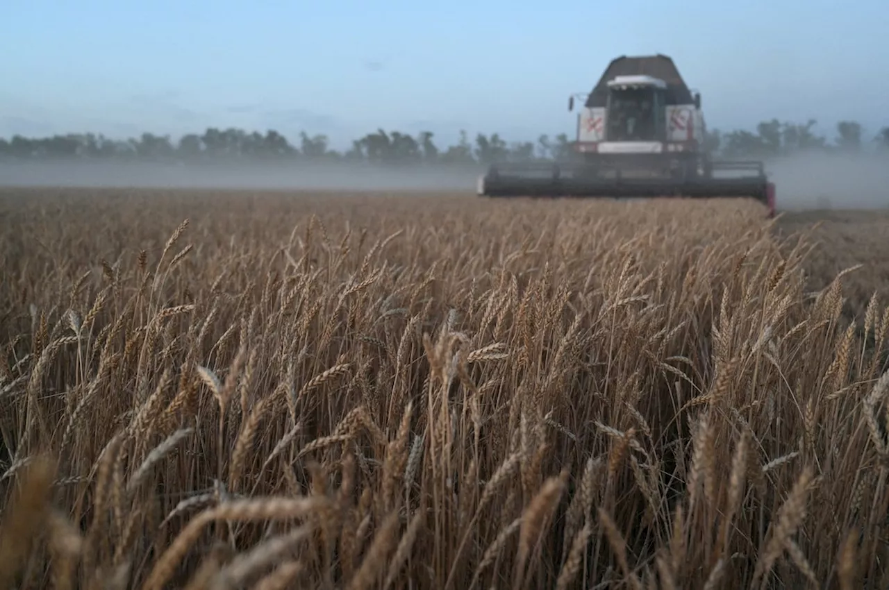 Impact of bad weather on harvest drags down Russia’s GDP in August