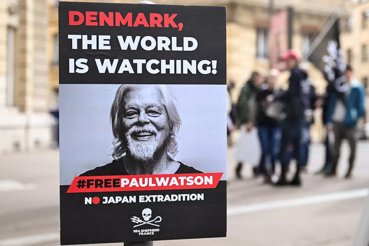 Who’s afraid of Paul Watson, award-winning conservationist?