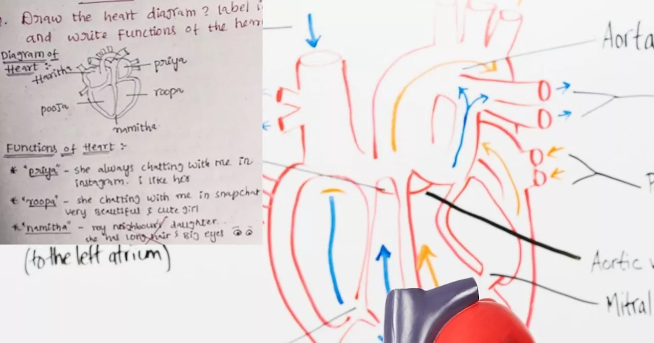 विज्ञान के पेपर में बनाना था 'हार्ट', लड़के ने खोलकर रख दिया पूरा दिल, पर बवालिया है टीचर का कमेंट!