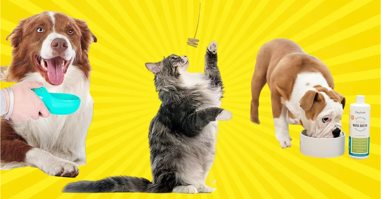 34 Pet Products That Reviewers Say Are 'Lifesavers'