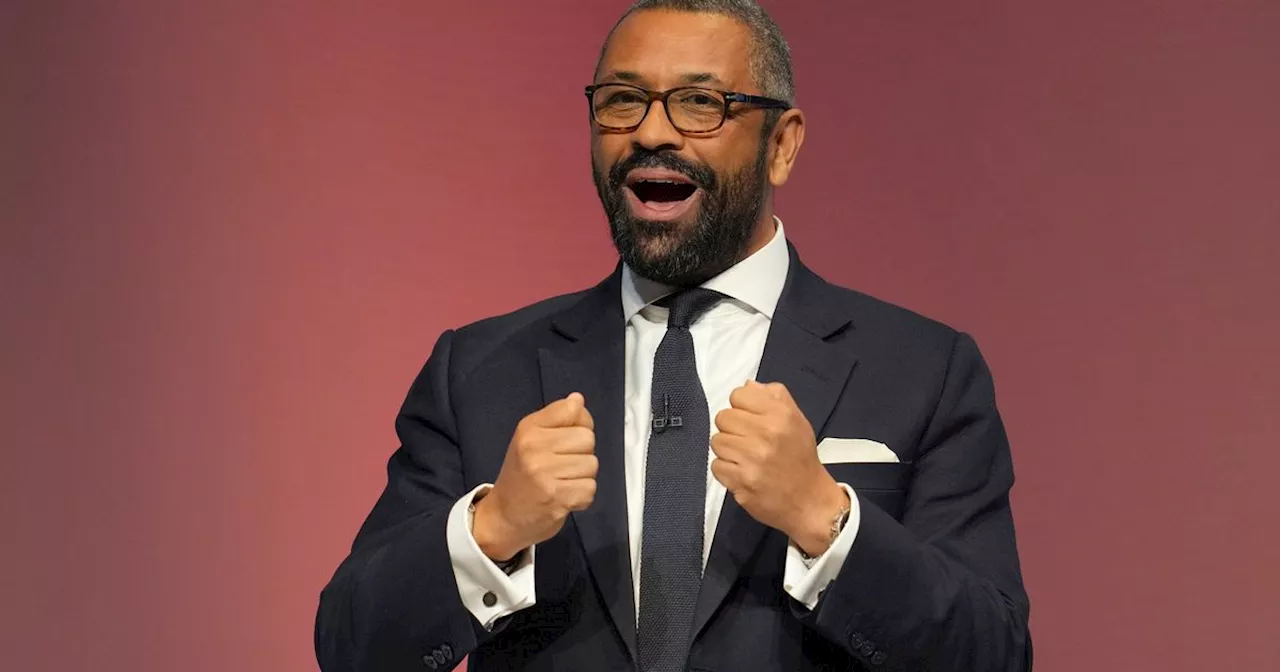 'Be More Normal': Tory Leadership Candidate James Cleverly's Bizarre Plea To His Party