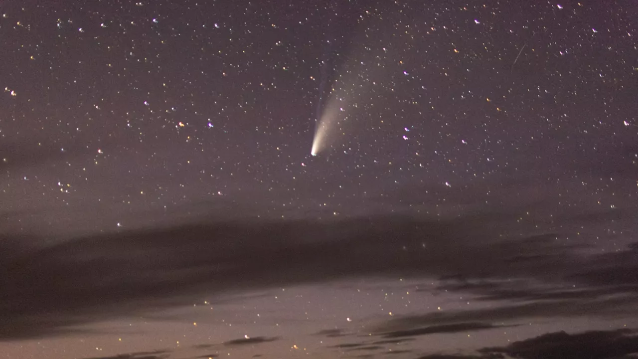Comet last spotted by Neanderthals set to grace the skies this October