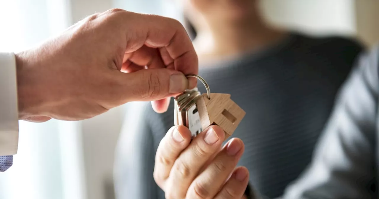 Budget 2025: Extending Help to Buy may drive up property prices, PBO warns