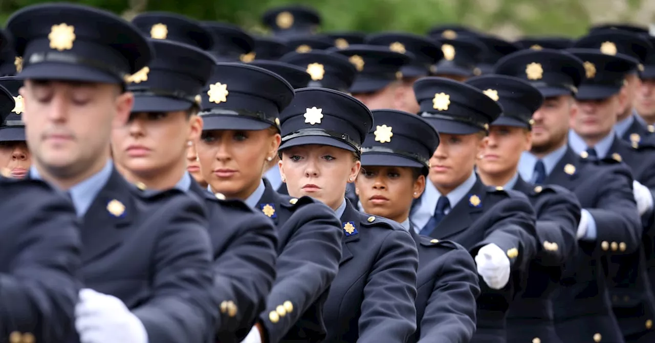 Troubling picture on Garda numbers remains unchanged by Budget 2025