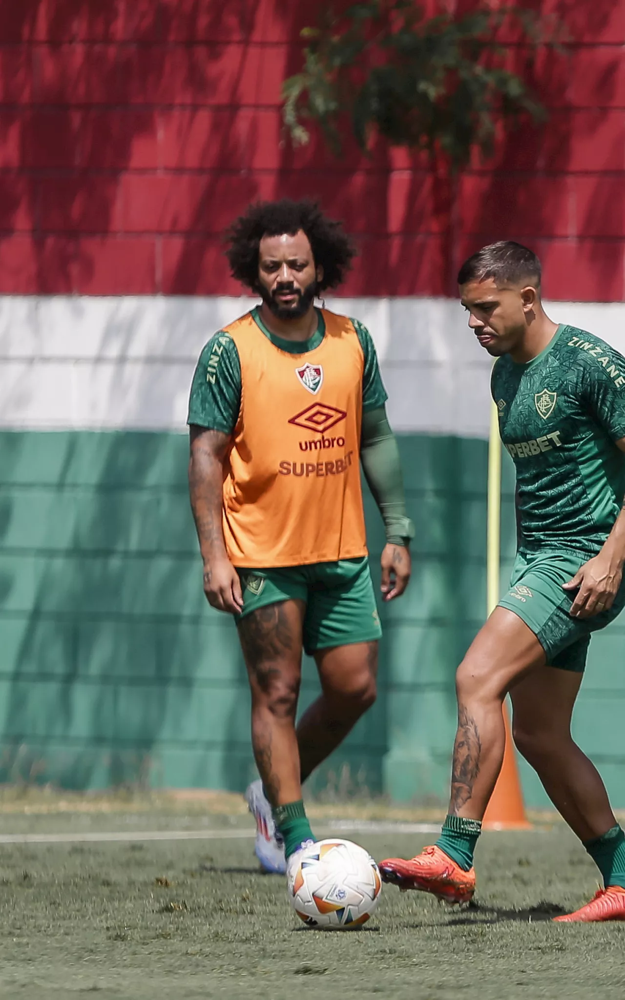 Fluminense decidirá futuro de Marcelo e Felipe Melo após o Brasileiro