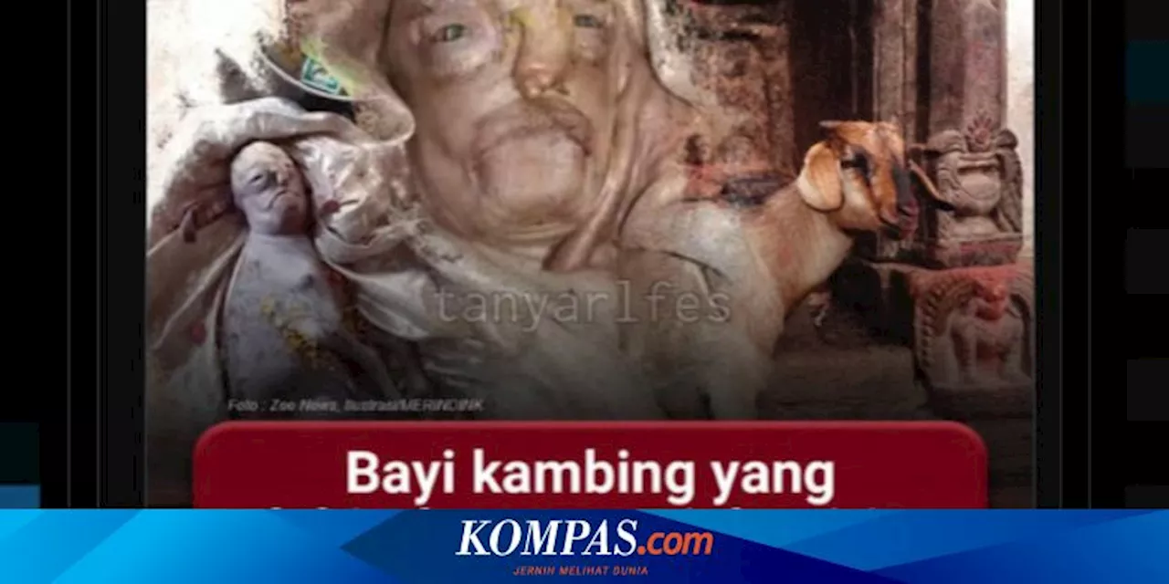 Viral, Penampakan Bayi Kambing di India Punya Wajah Mirip Manusia, Ini Faktanya