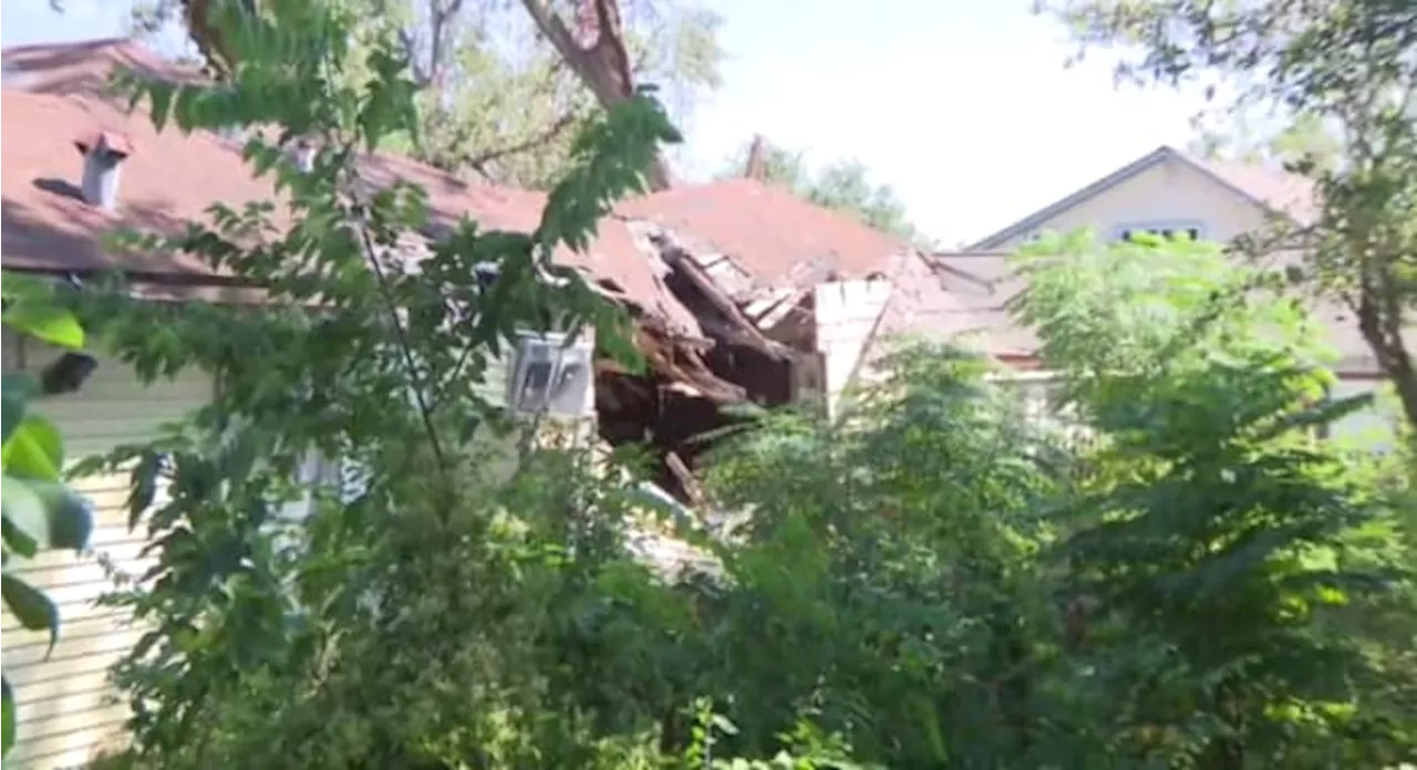 ‘The backyard is a jungle’: Frustrated Spring Branch homeowner seeks help with dilapidated home