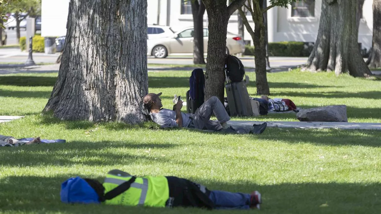 Bat in Pioneer Park tests positive for rabies; multiple exposures likely