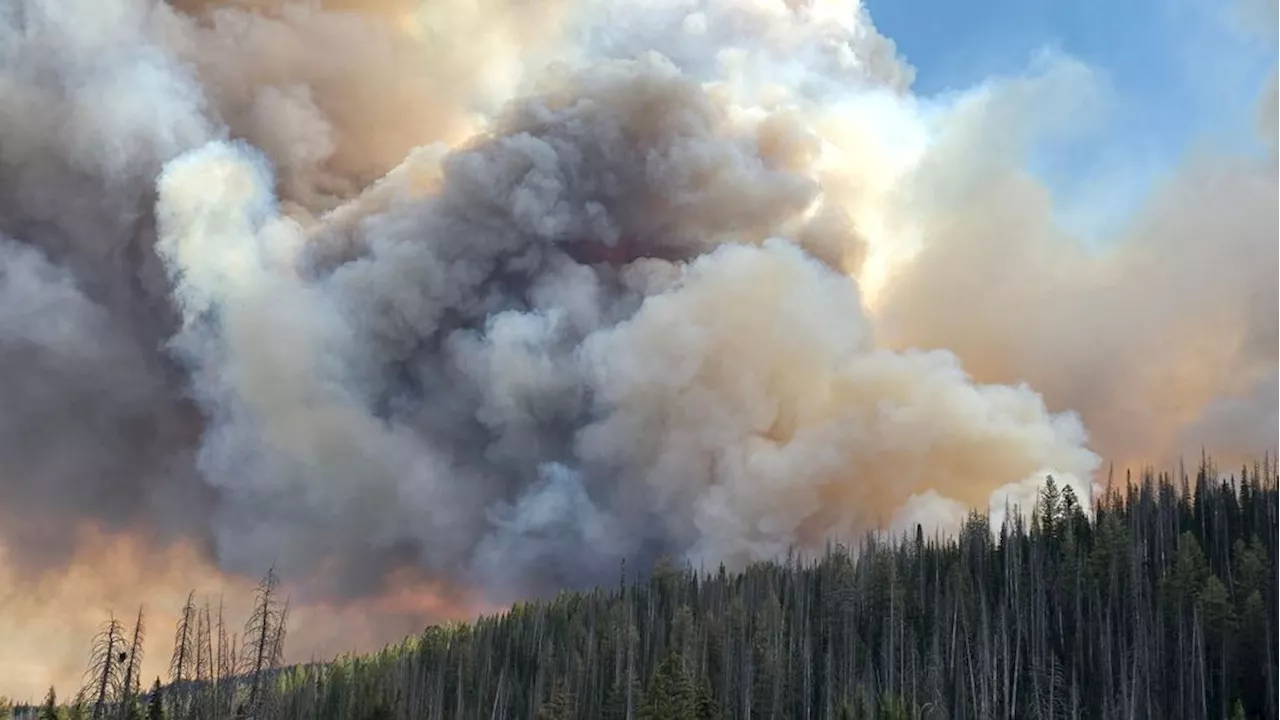 'Dangerous and difficult': Yellow Lake fire mapped at 2,474 acres, 0% containment