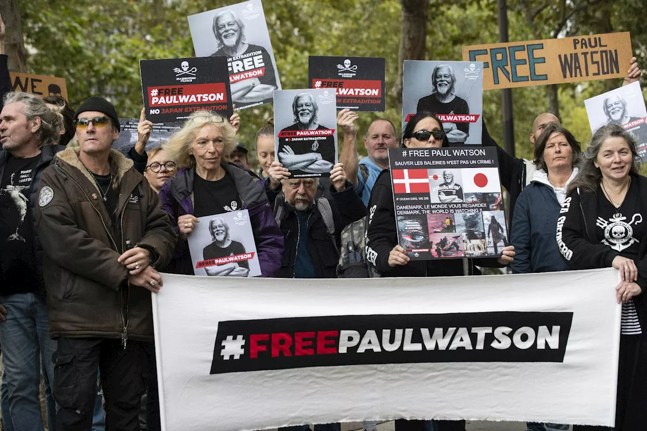 Groenland: le militant écologiste Paul Watson maintenu en détention jusqu'au 23 octobre