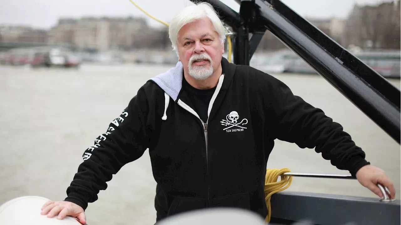 La détention du militant écologiste Paul Watson au Groenland prolongée jusqu'au 23 octobre