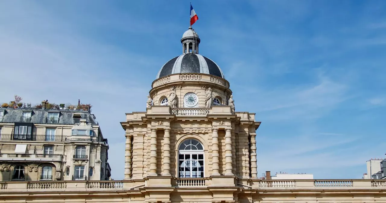 Pénurie de professeurs, franglais... Le Sénat fait un état des lieux de la langue française