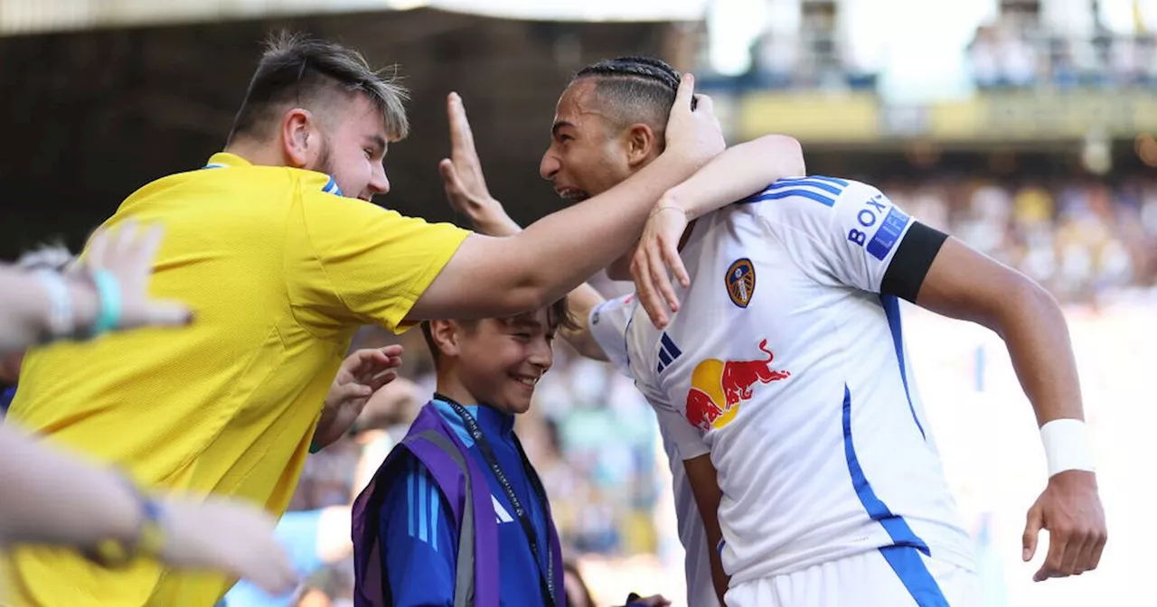 Leeds United could 'indirectly benefit' from Red Bull expanding football portfolio