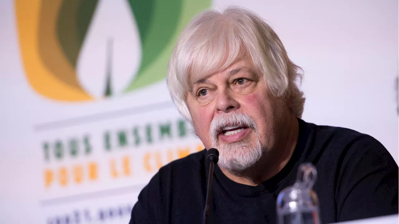 Paul Watson : Sea Shepherd accuse la justice du Groenland de vouloir le « faire extrader » au Japon