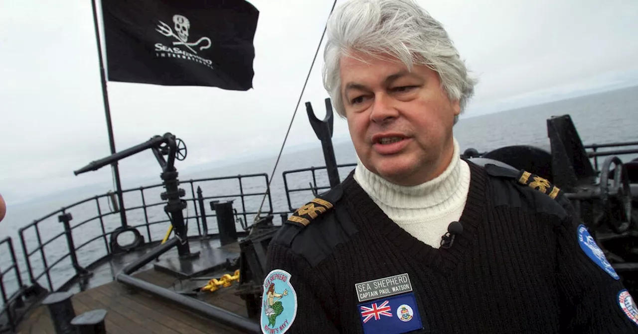 Affaire Paul Watson : le défenseur des baleines reste en prison au Groenland