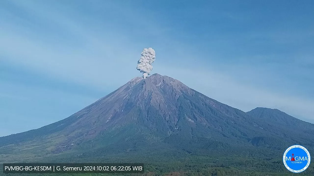 Gunung Semeru Erupsi Rabu Pagi 2 Oktober 2024, Kolom Abu Capai 1.000 Meter