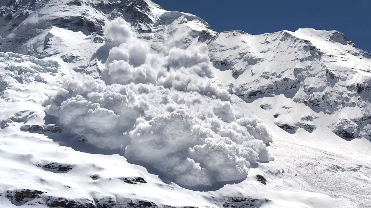 More people are surviving avalanches than decades ago — here's why