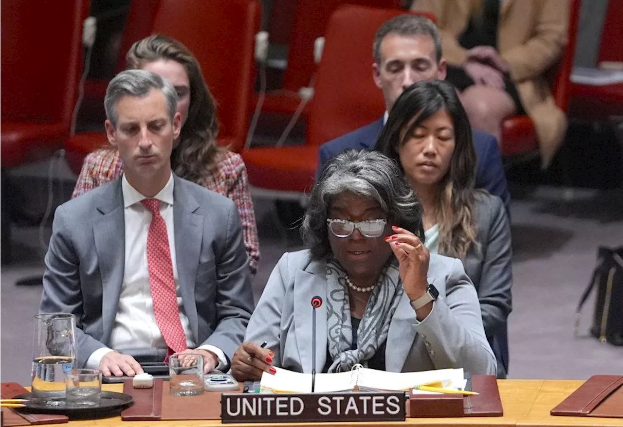 US Signals Potential Support for African Seats on Security Council, But Without Veto Power