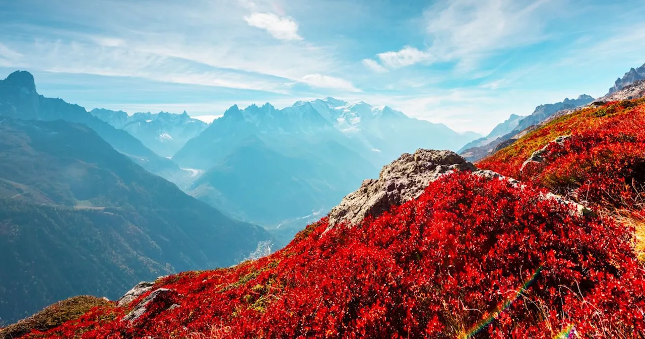 En automne, ce vallon avec vue sur le Mont-Blanc se pare de couleurs rougeoyantes