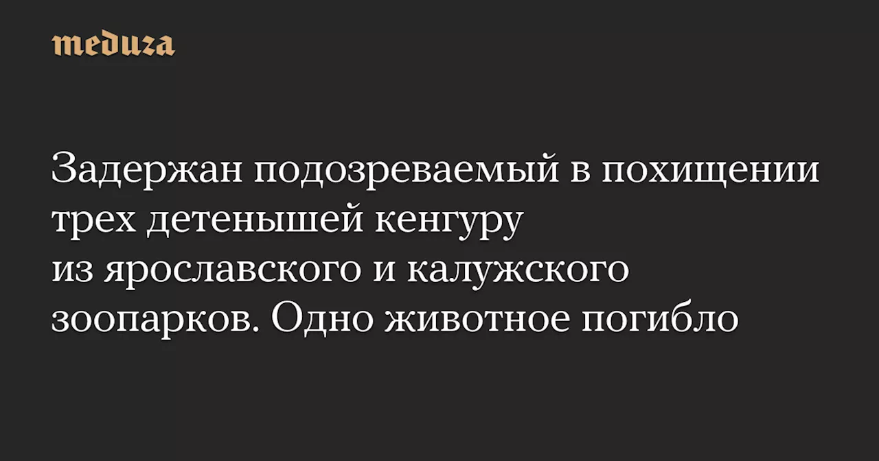 В Владимирской области задержан подозреваемый в похищении кенгуру