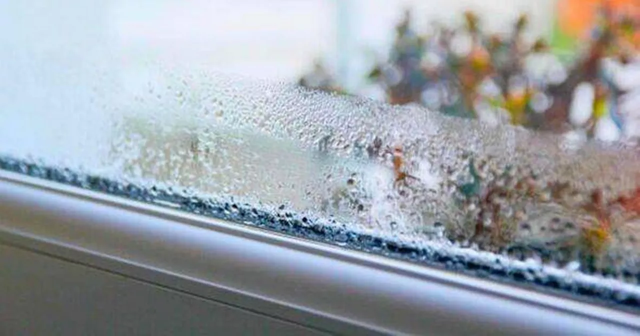 Cleaning windows with a common item will make condensation 'disappear for good'