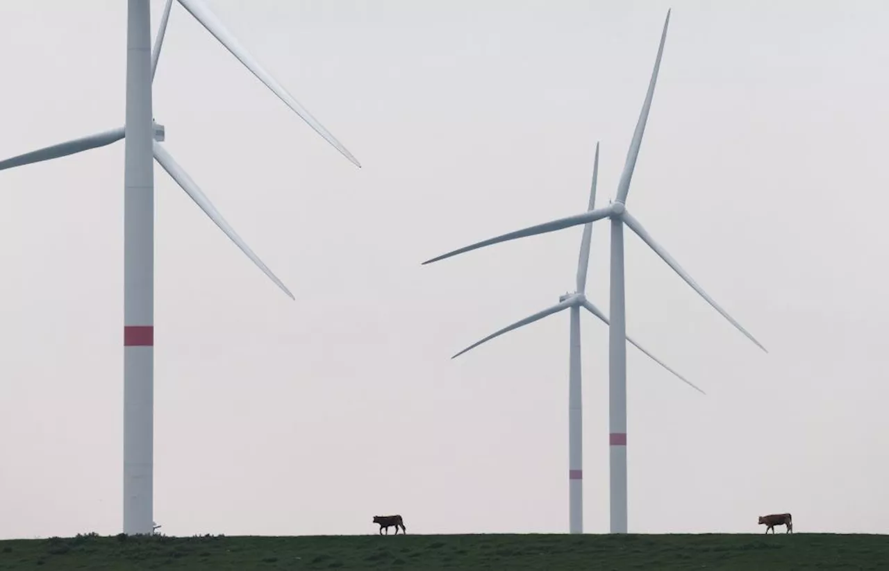 Weltrekord: Sengenthaler Unternehmen Max Bögl darf das größte Windrad der Welt bauen