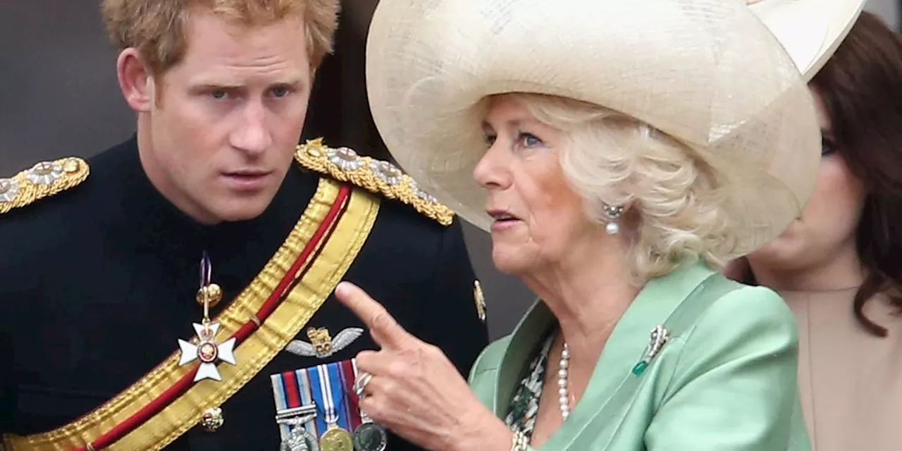 Camilla soll Treffen zwischen Harry und Charles verhindert haben