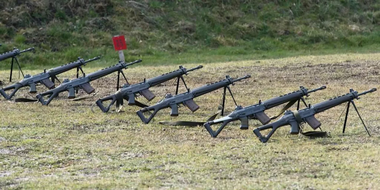 Schweizer Armee: Waffenverluste sind Gefahr, warnt Politikerin