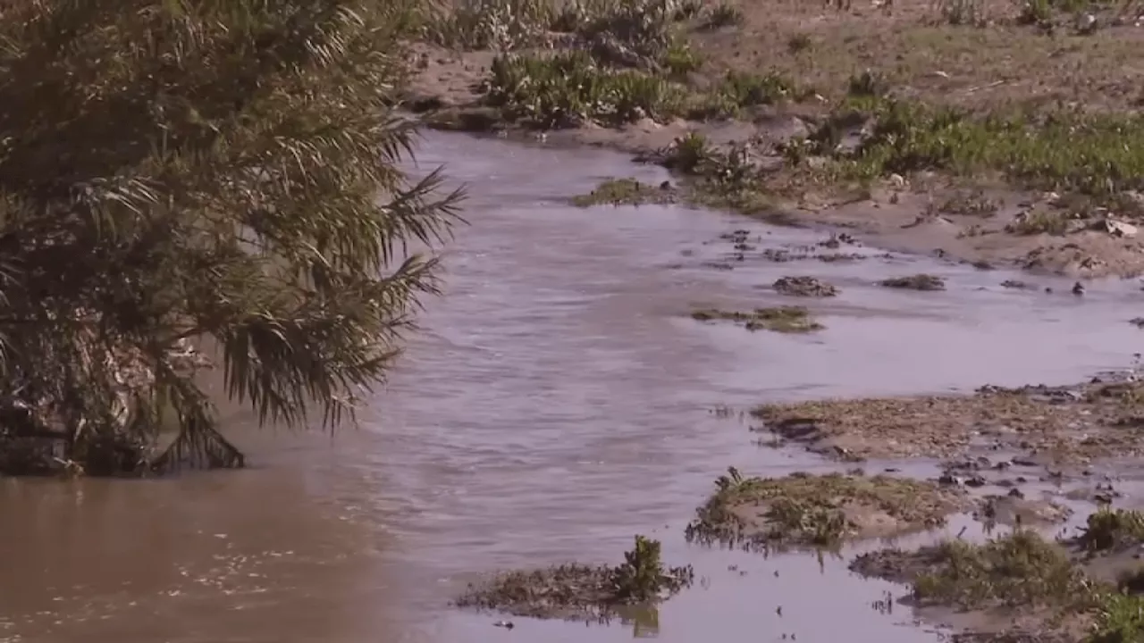 San Diego City Council asks federal government to declare national crisis in Tijuana River