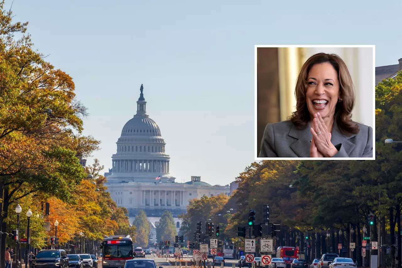 Kamala Harris Could Have Something Biden Didn't If She Wins Election