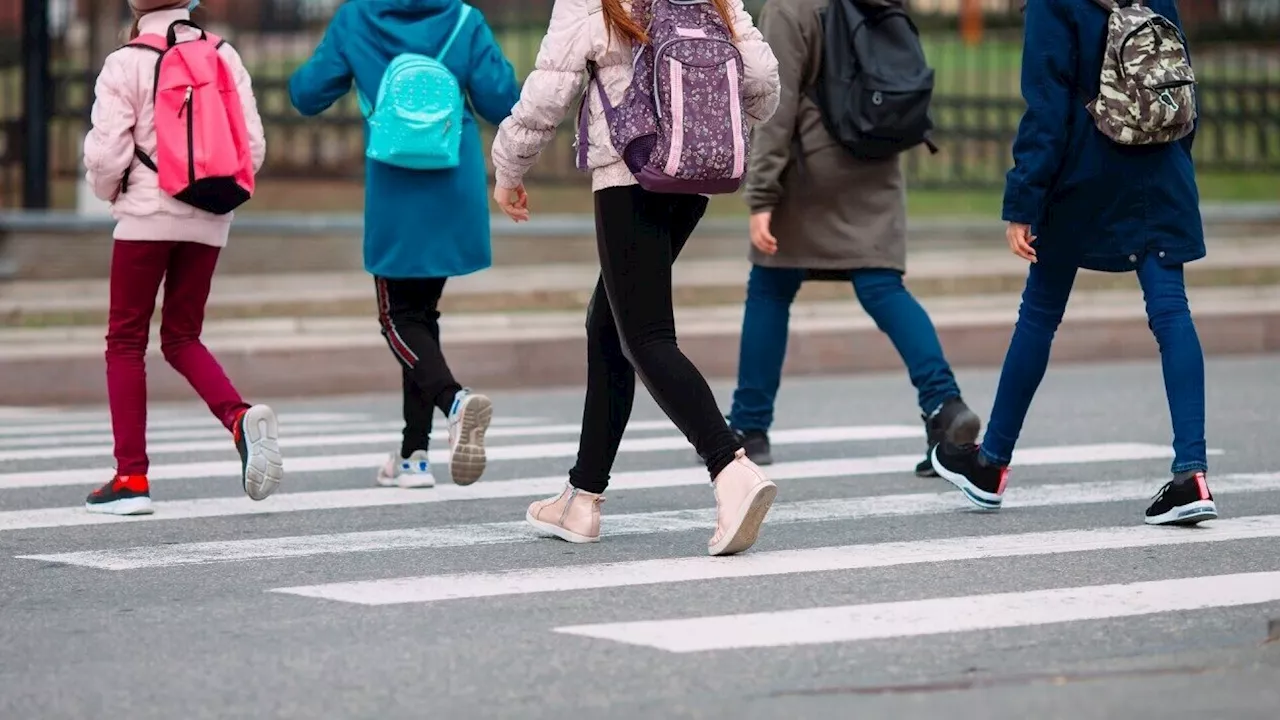 2023 wurden in NÖ 86 Kinder als Fußgänger im Straßenverkehr verletzt