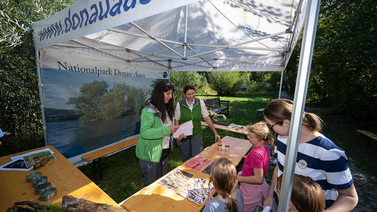 Familientag im Nationalpark Donau-Auen bot buntes Programm