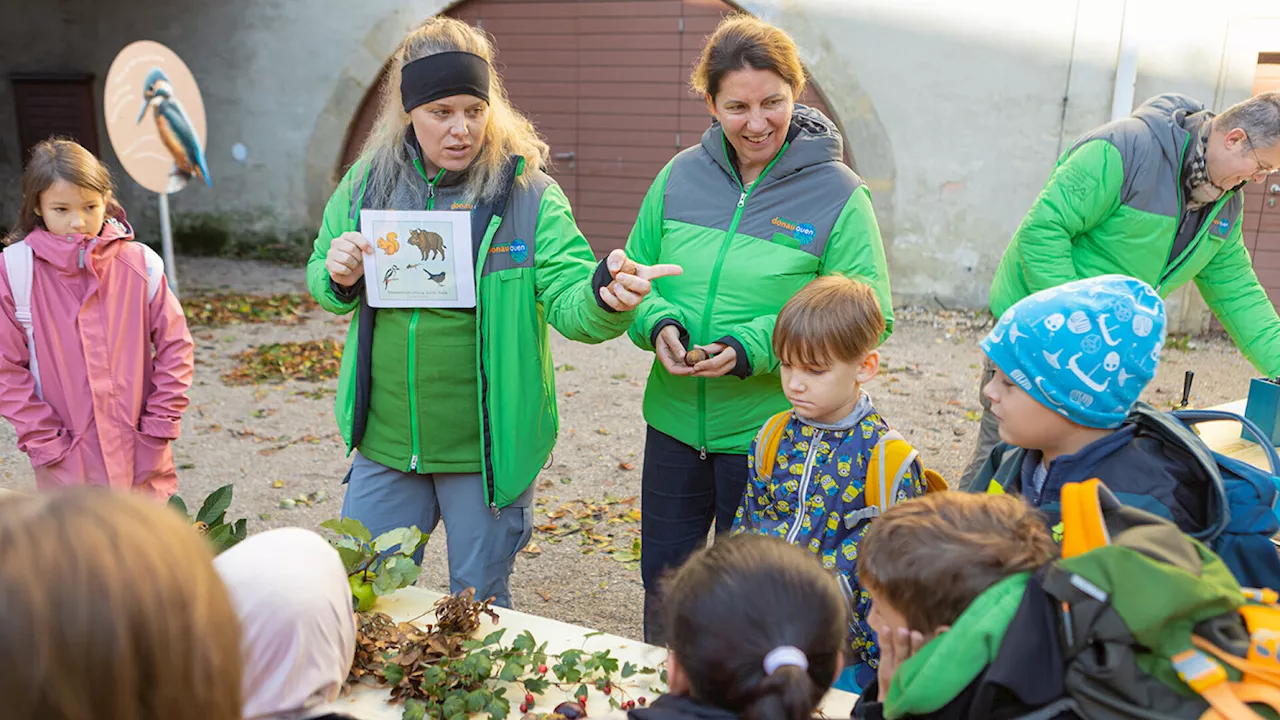 „Kinderuni on Tour“ im schlossORTH: Forschen & Lernen im Nationalpark