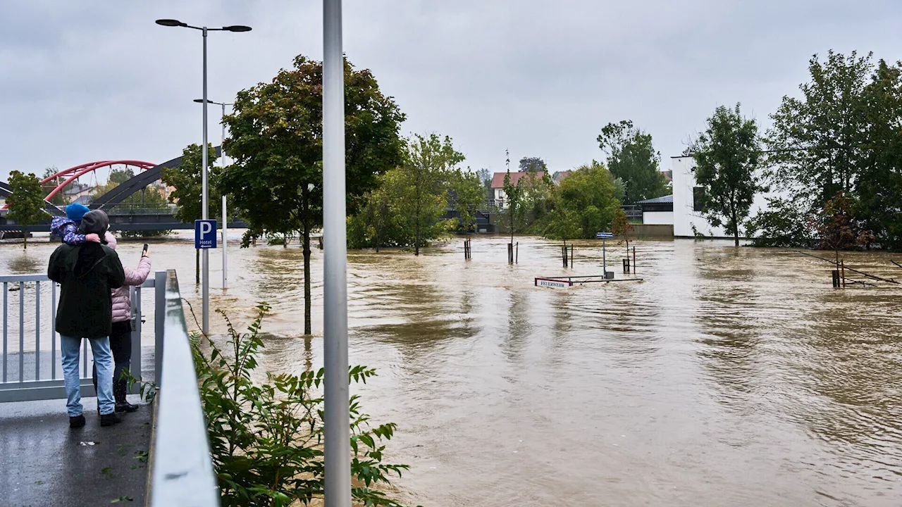 Wieselburg zieht erste Bilanz nach Hochwasser