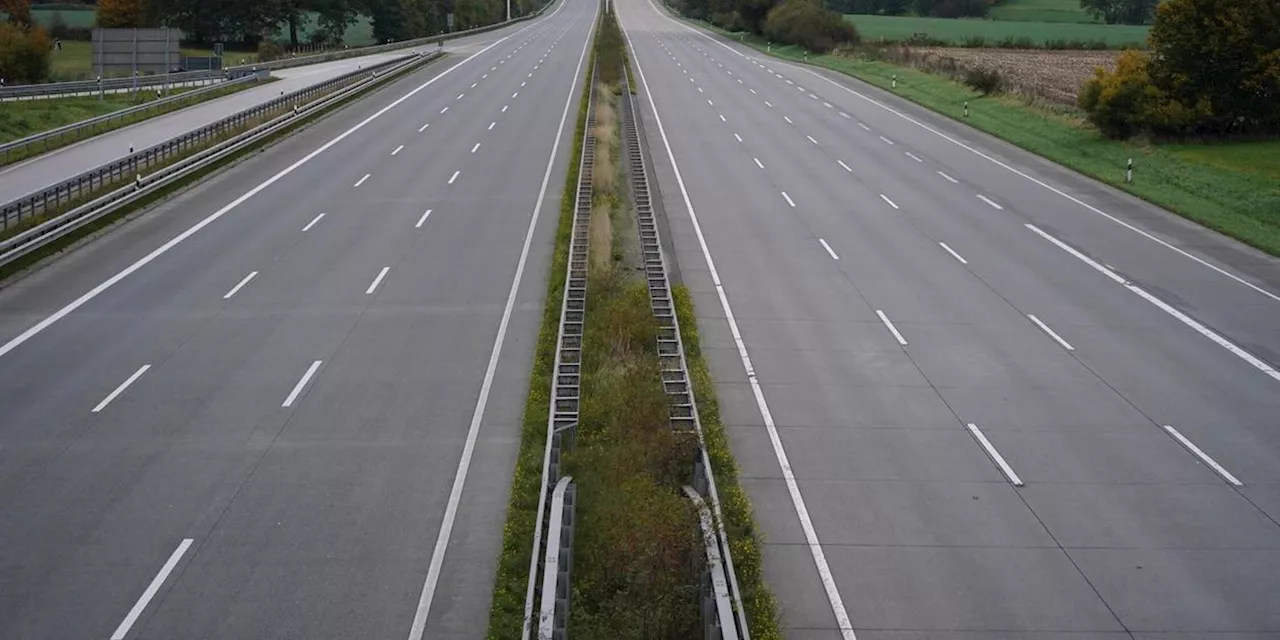 Durch Unfall verst&ouml;rter Hund stoppt Verkehr auf Autobahn