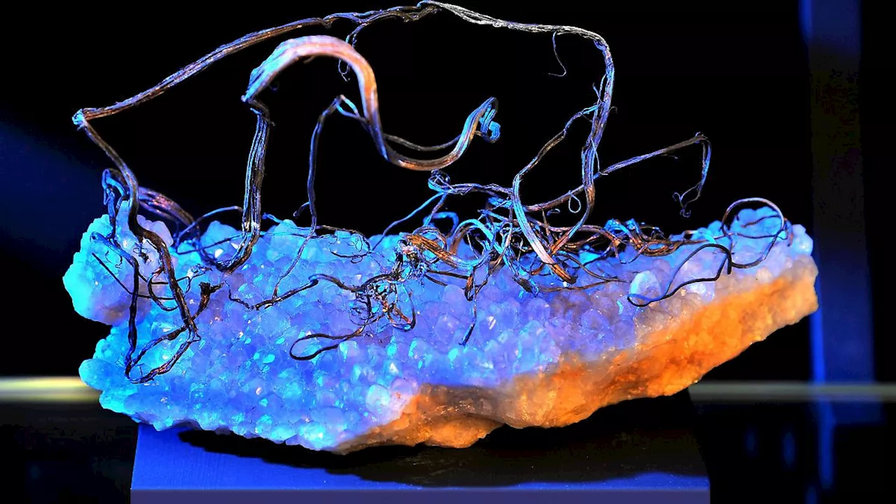 Sachsen: Ehre für Mineralogische Sammlungen der Bergakademie Freiberg