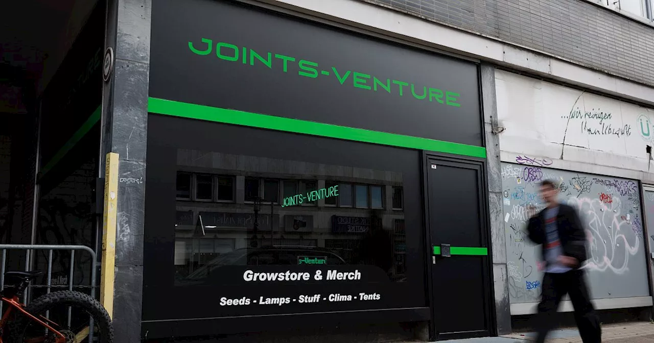 Bielefelder Cannabis-Club „Joints Venture“ darf ab sofort Marihuana anbauen