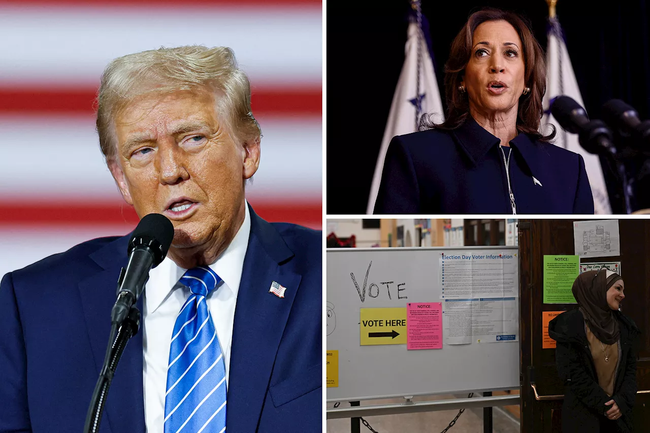 Trump notches 4-point edge over Harris with Arab American voters: poll